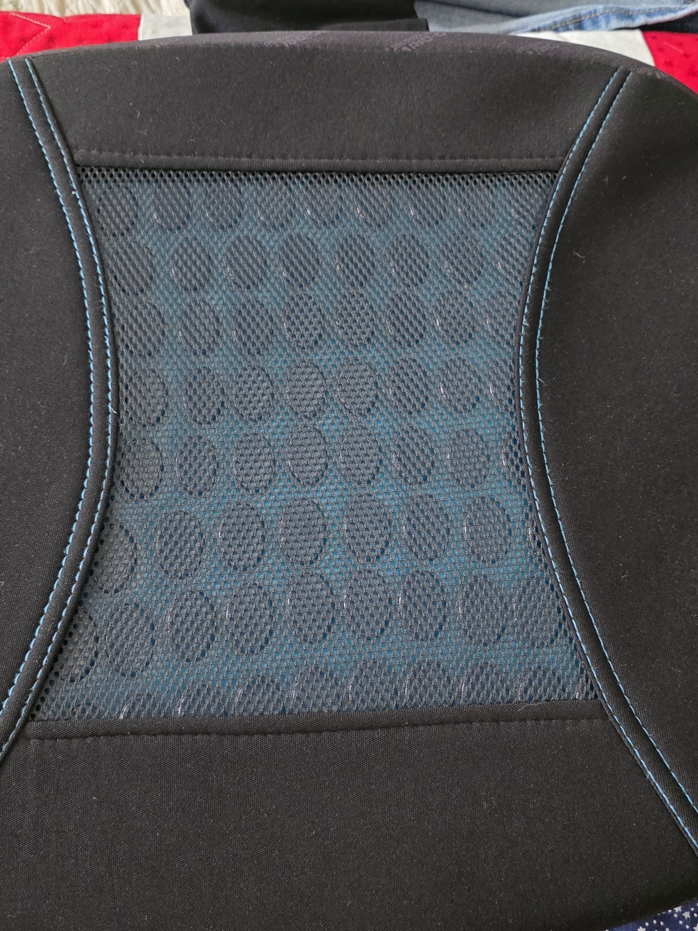 Black and Teal Mesh Lumbar Support Cushion - Home Other